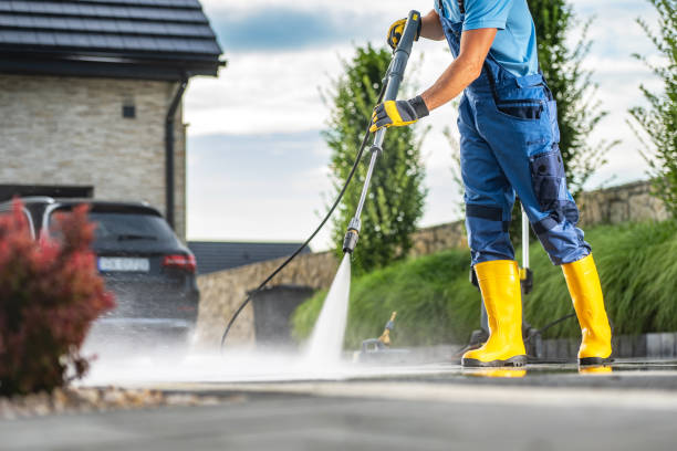 Best Driveway Pressure Washing  in Bottineau, ND